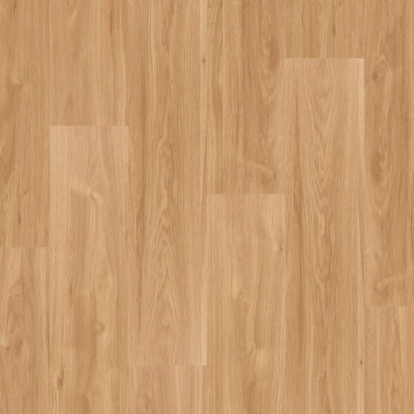 Floorest Premiere - Image 3