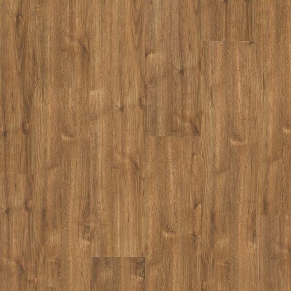 Floorest Premiere - Image 9