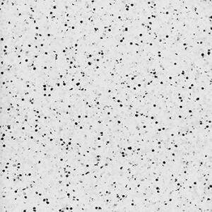 OHMega EC - Image 2